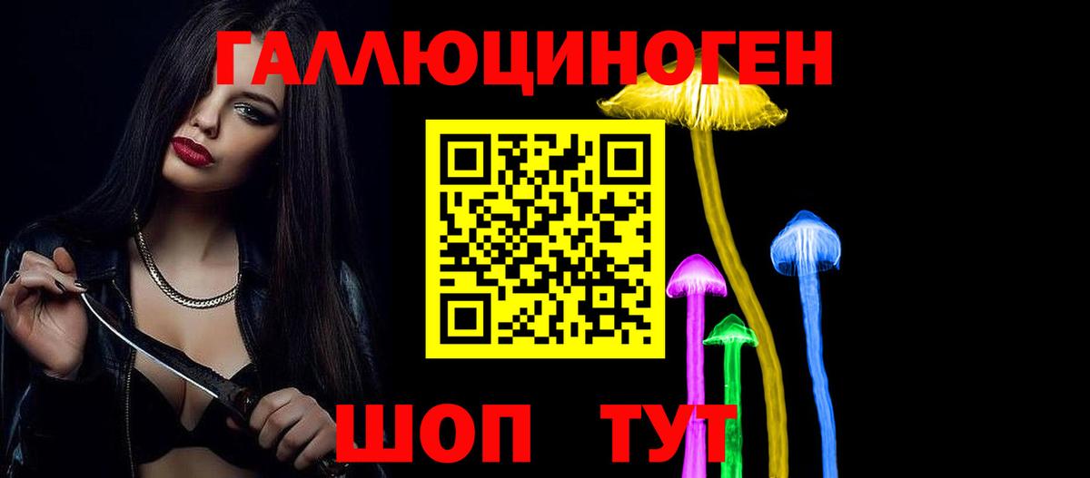 Галлюциногенные грибы Psilocybe Азов